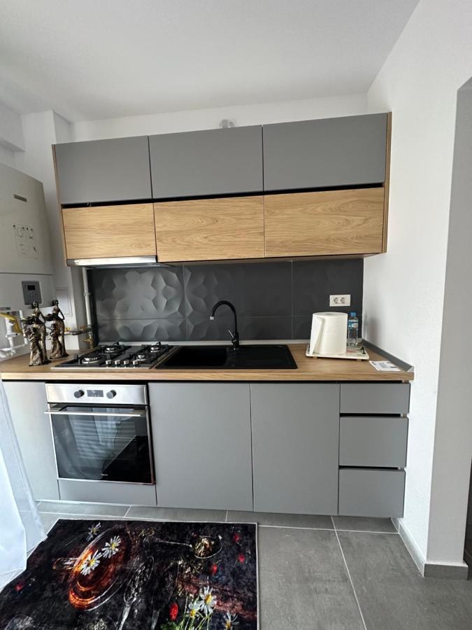 Apartamente Arinis Gura Humorului Exterior photo